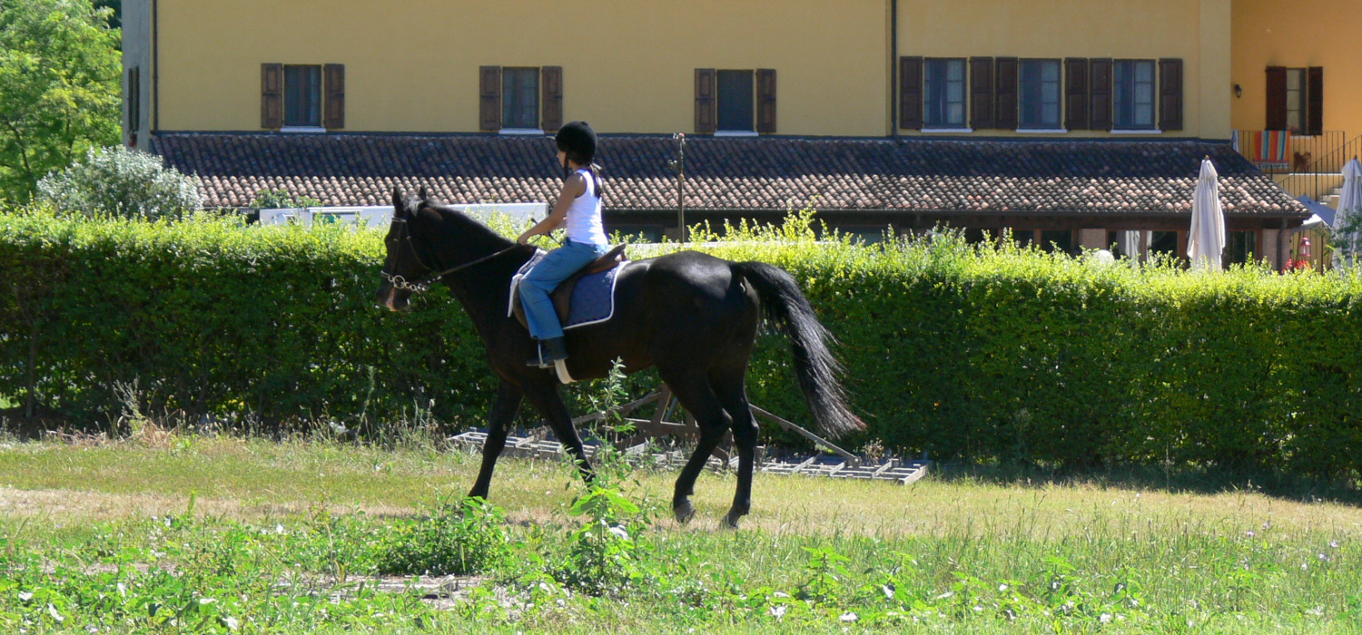 Centro Ippico
