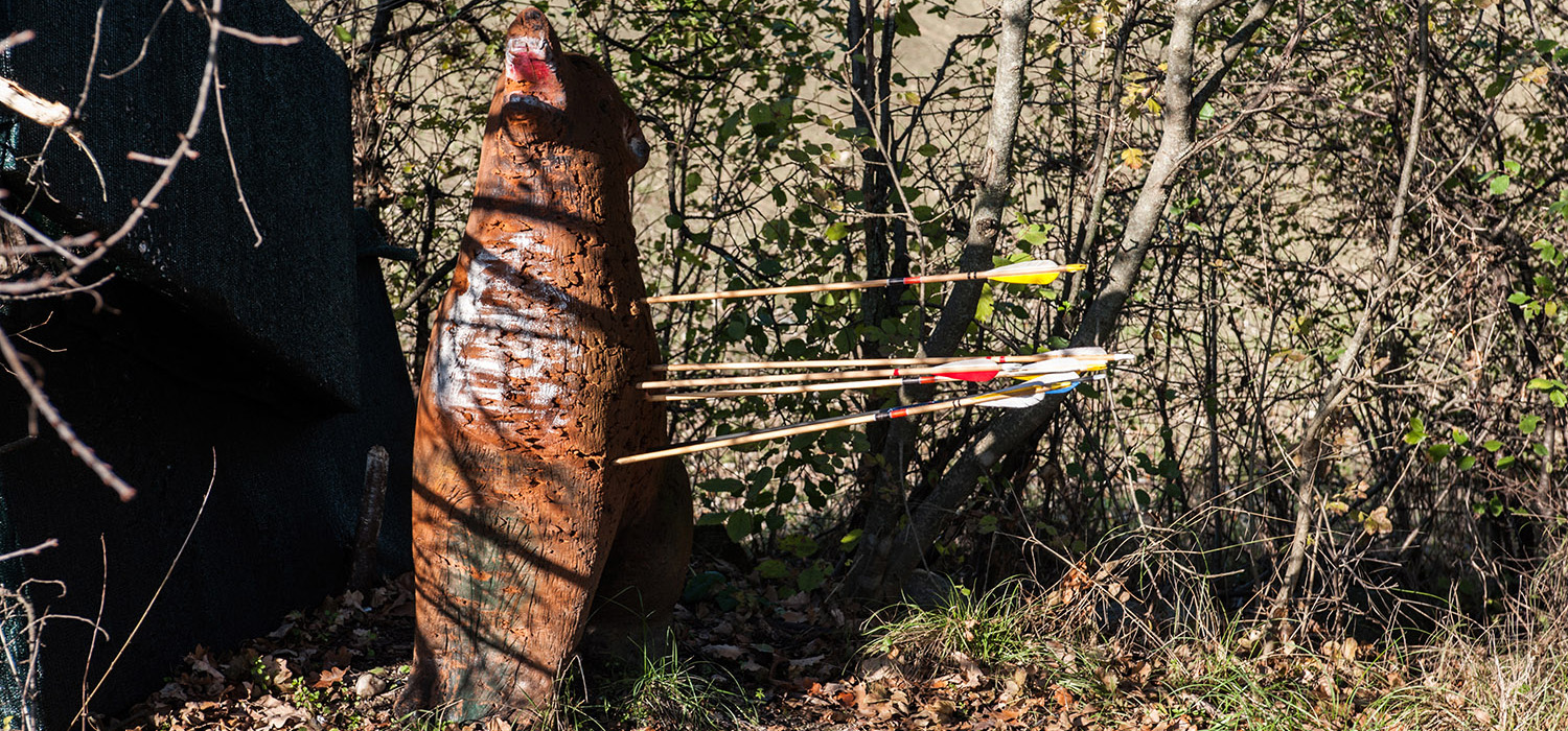 Tiro con l’arco