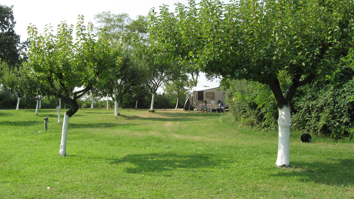 Campeggio Le Volpi