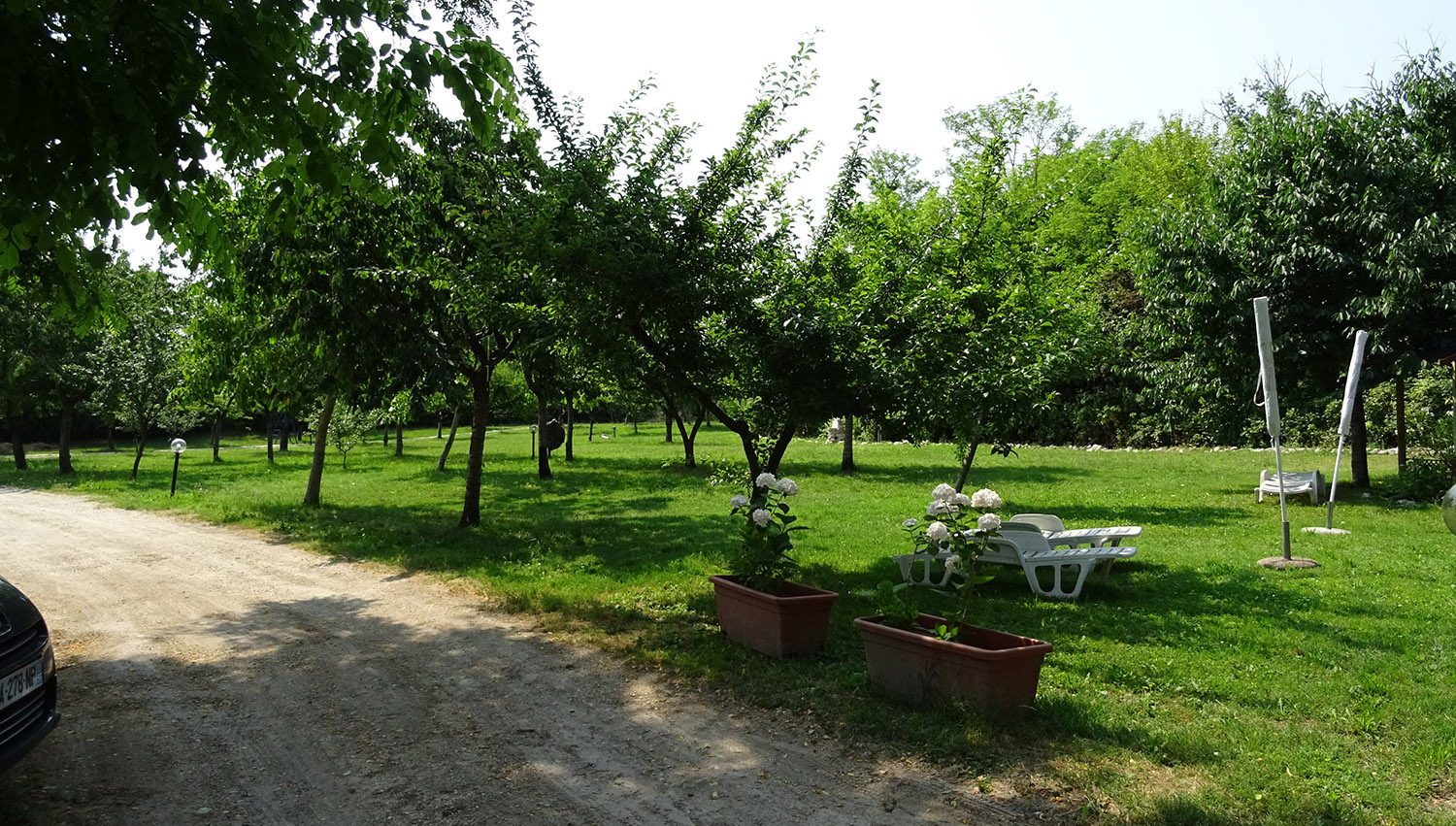 Campeggio Le Volpi