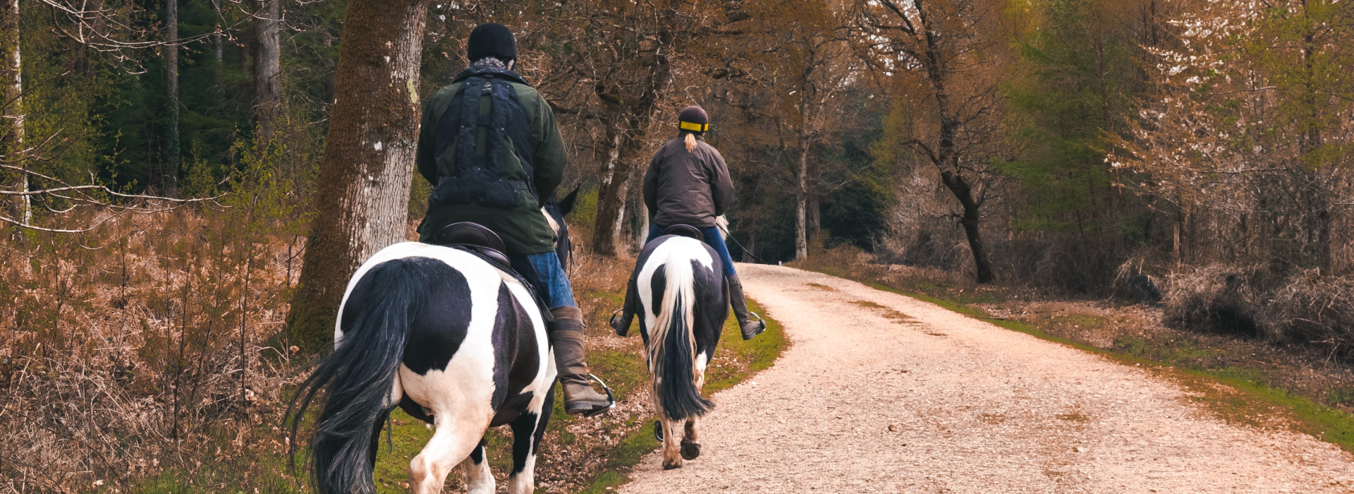 Wie wird der Reitausflug organisiert